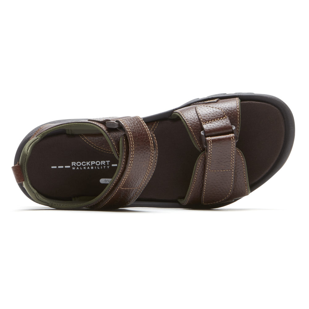 Rockport Singapore Mens Sandals - SpringBoro Rocklake Brown - VS3871620